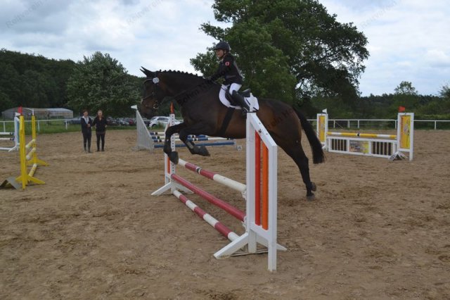 reitertag 2013 69
